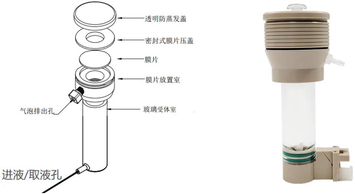 扩散池组成